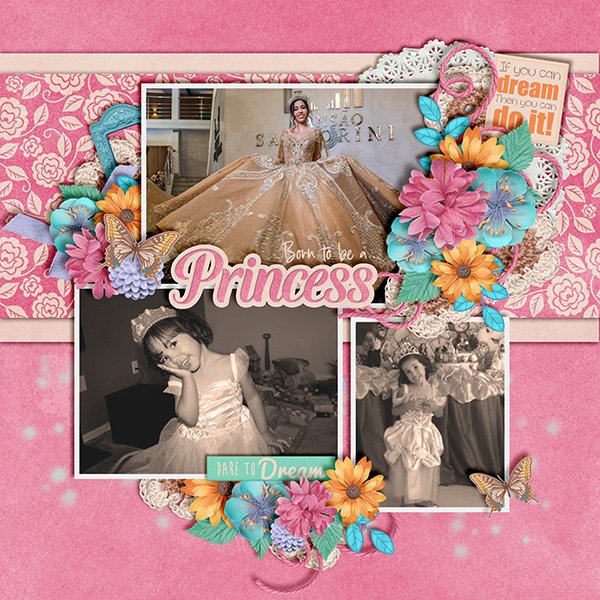 Born To Be a Princess