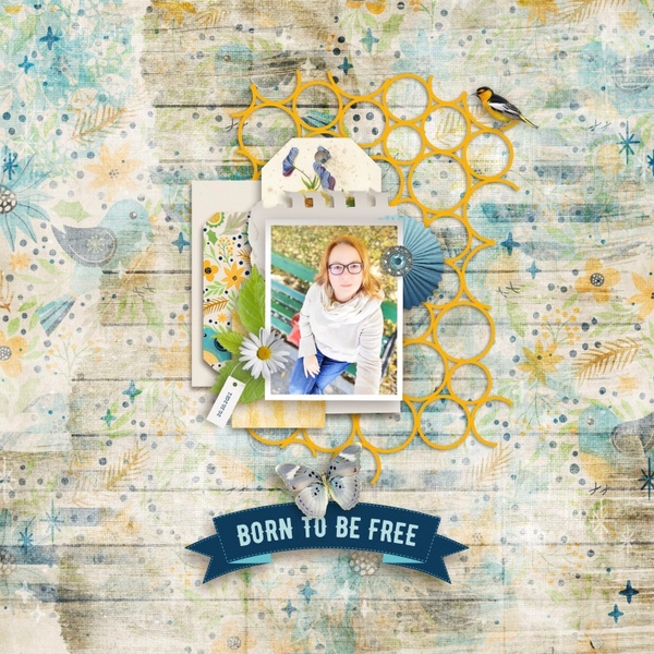 Born to Be Free