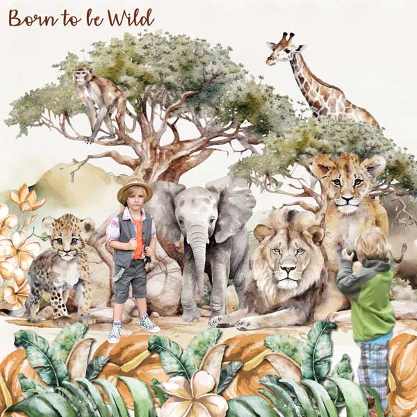 born-to-be-wild-ilonka