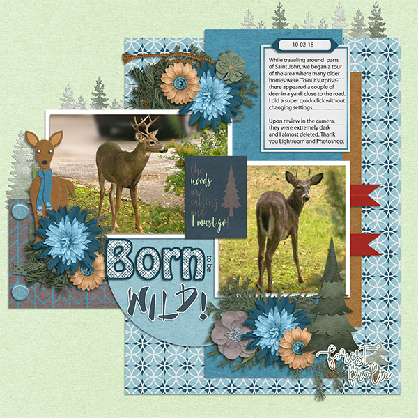 Born to be Wild!
