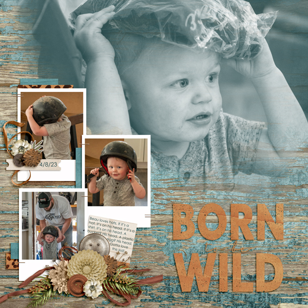 Born to be Wild