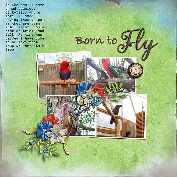 Born to Fly