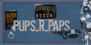 Bosch Siggy 2