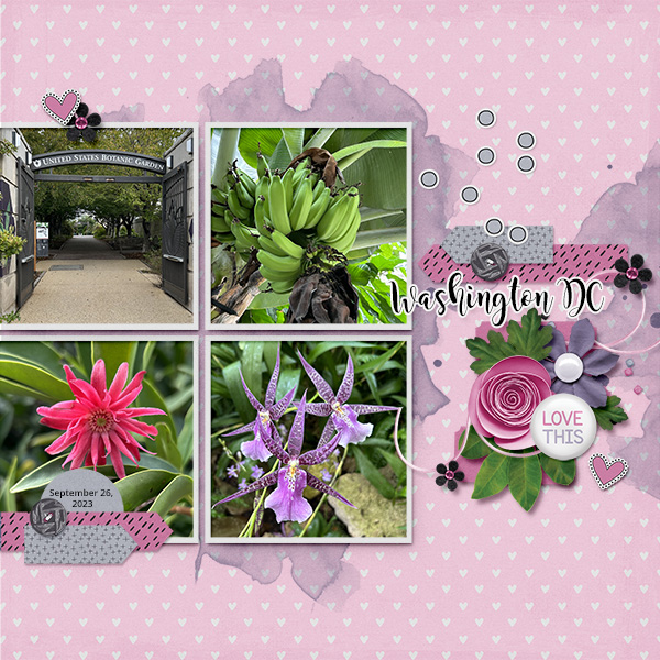 Botanic garden
