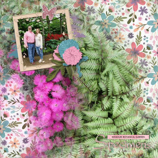 Botanical Specimens
