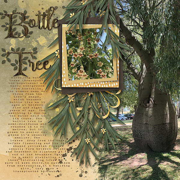 Bottle Tree