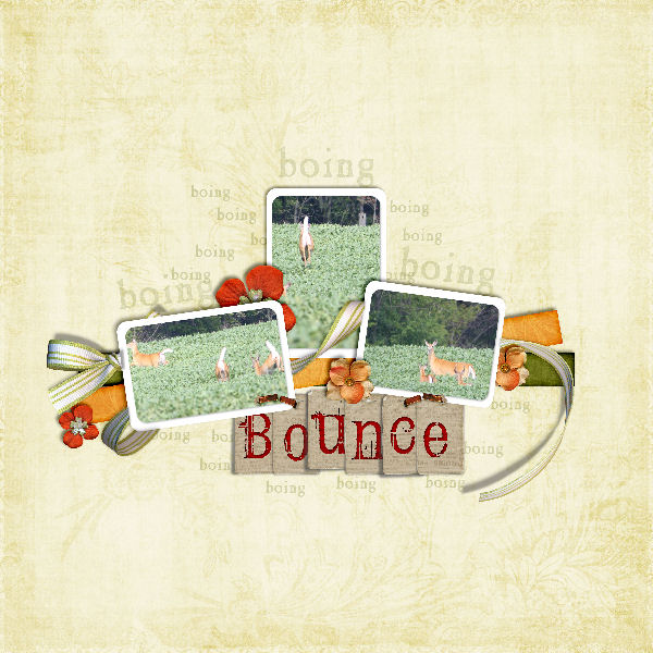 Bounce600