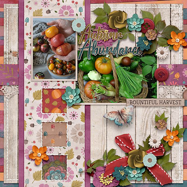 Bountiful-Harvest-web.jpg