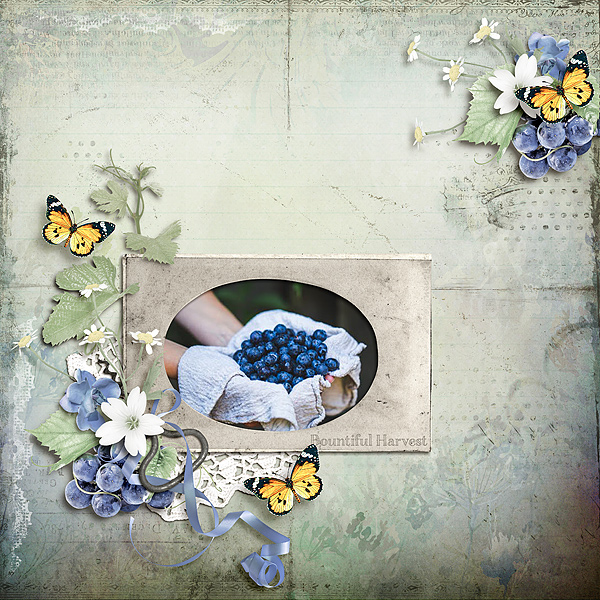 Bountiful Harvest