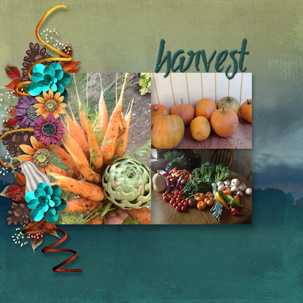 Bountiful Harvest