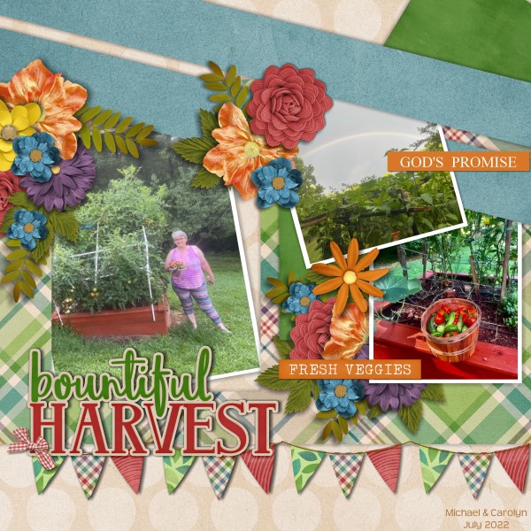 Bountiful Harvest