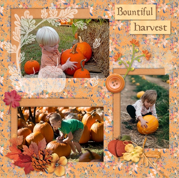 Bountiful Harvest