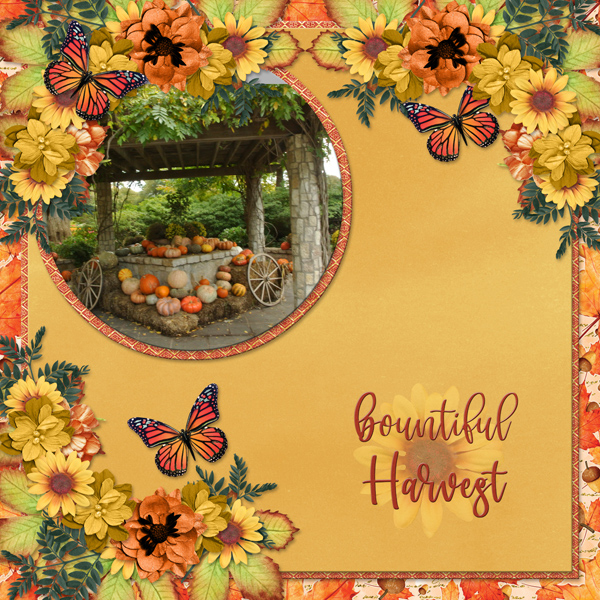 Bountiful Harvest