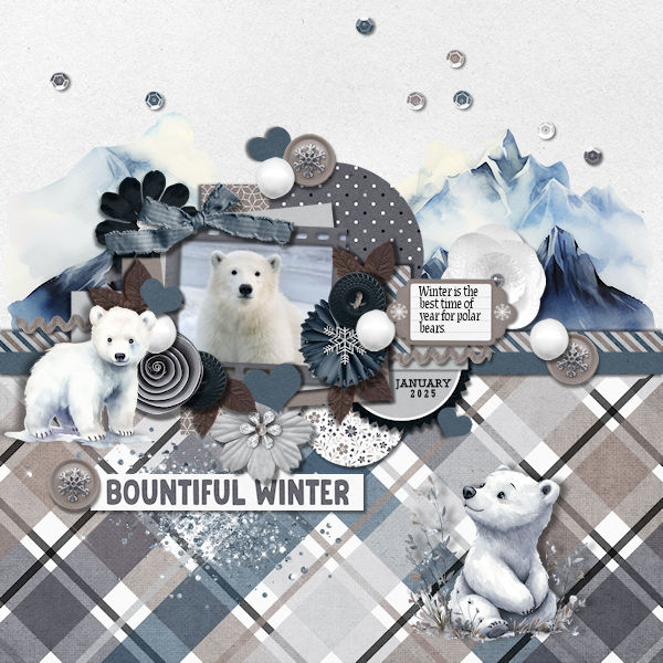 Bountiful Winter