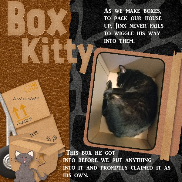 Box Kitty