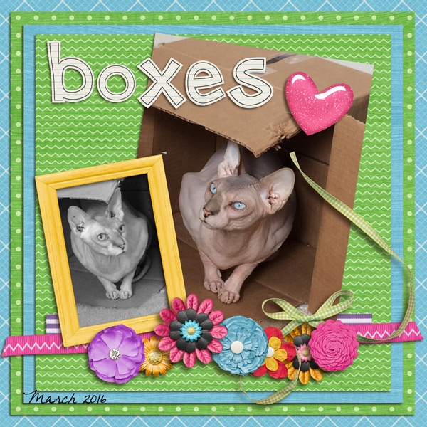 Boxes