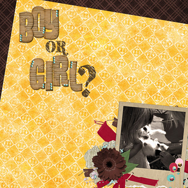 Boy Or Girl?
