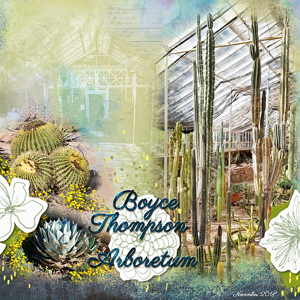 Boyce Thompson Arboretum
