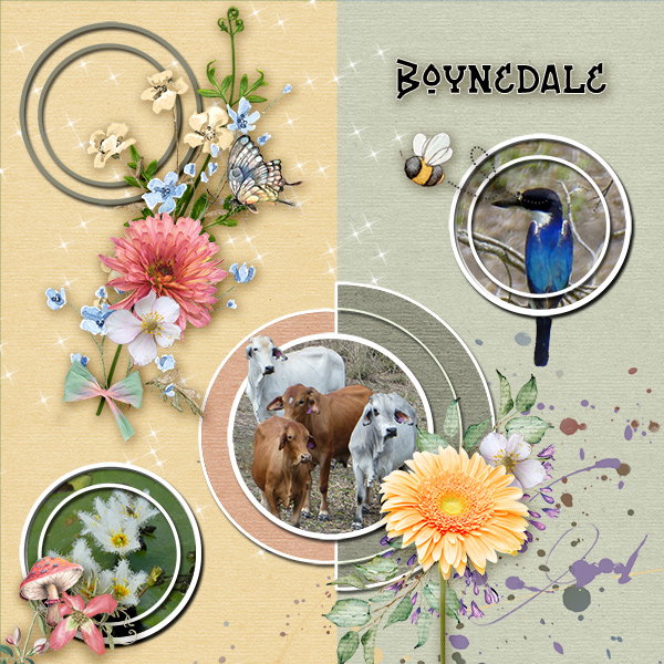 Boynedale Camp