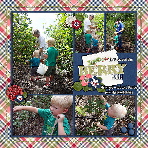 boys-picking-blueberries
