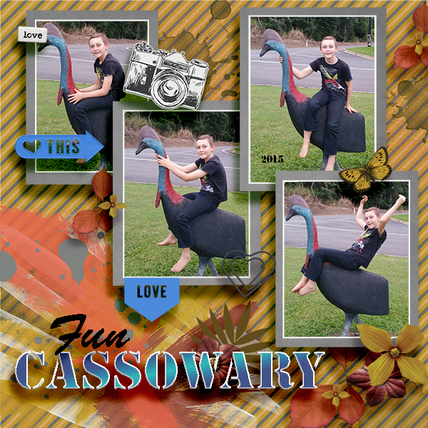 Brady on the Cassowary