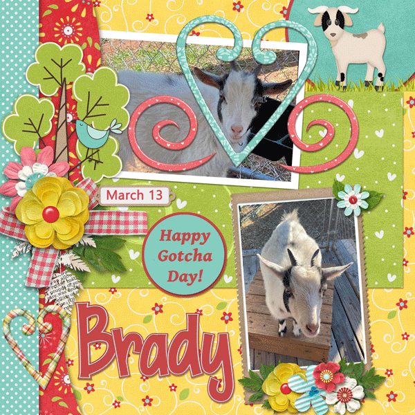 Brady