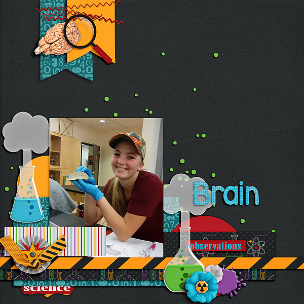 Brain