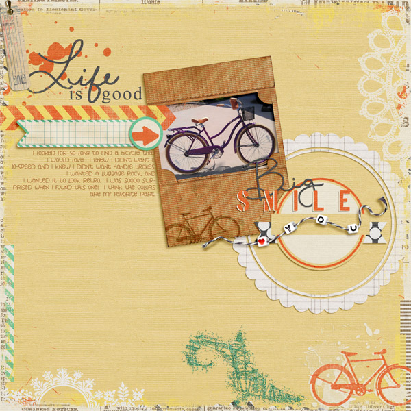 Brand New Bicycle