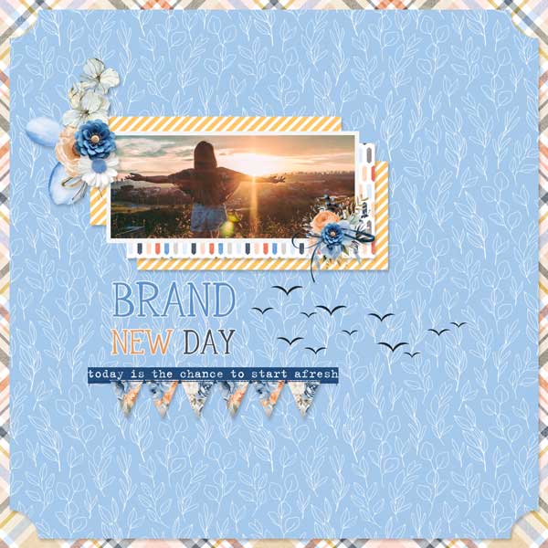 Brand-New-Day-Buzzbee