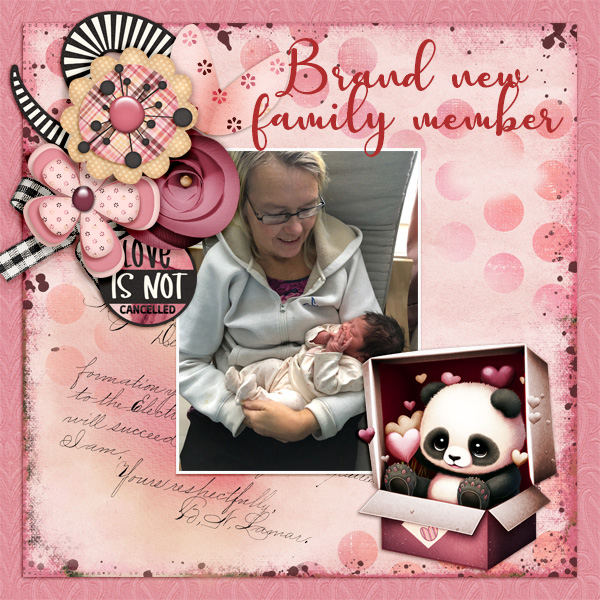Brand-new-family-member
