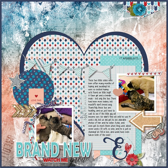Brand_New