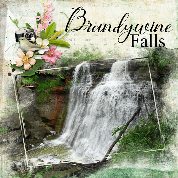 Brandywine Falls