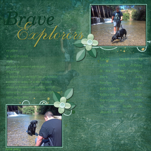 Brave Explorers