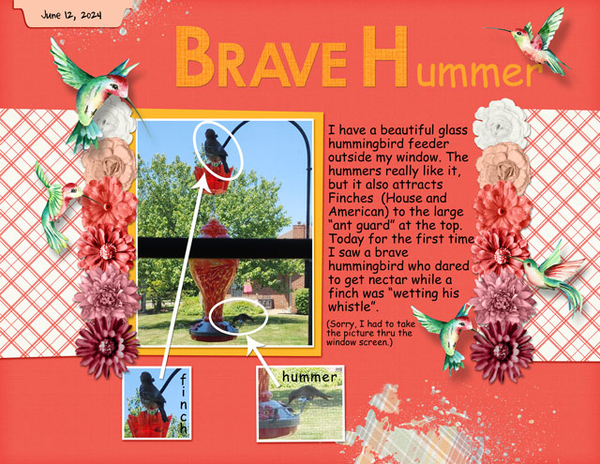 Brave Hummer