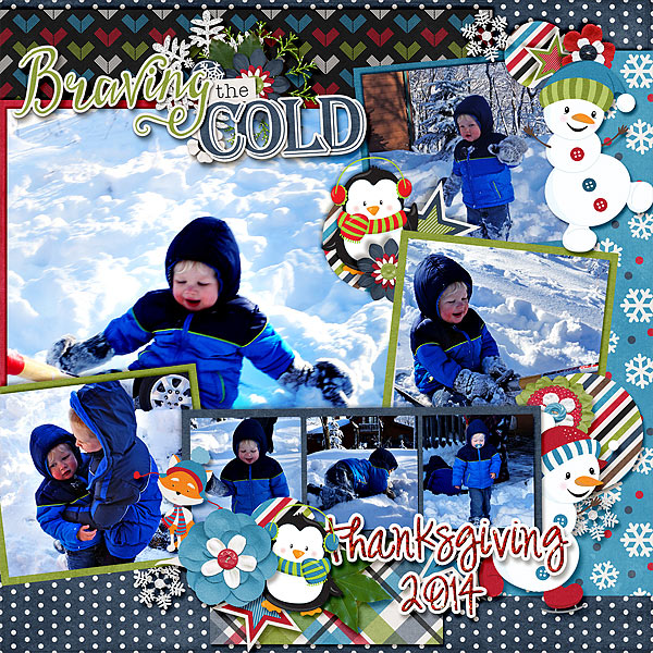 Braving-the-Cold