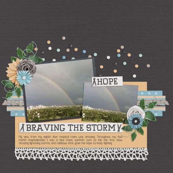 Braving The Storm