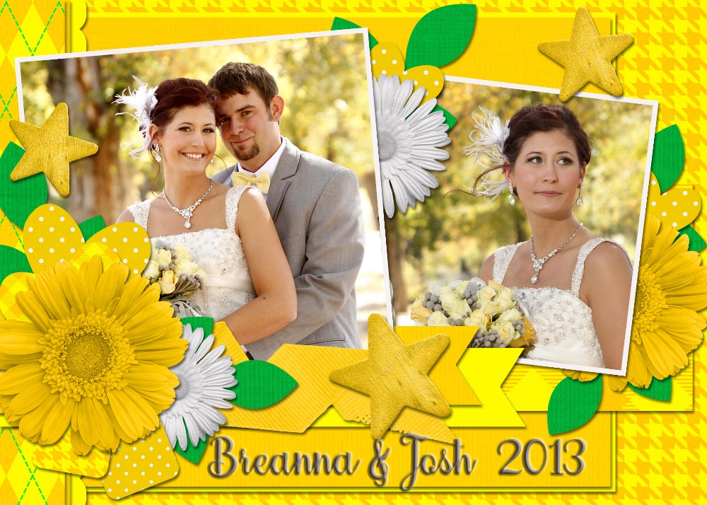 Breanna and Josh's Wedding 2013