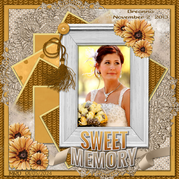 Breanna's Wedding Day 11/02/2013