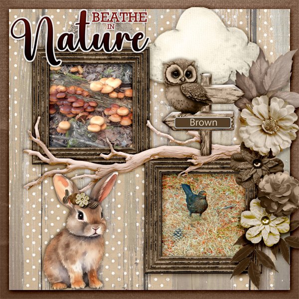 Breathe-in-Nature.jpg