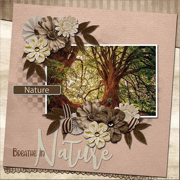 Breathe in Nature