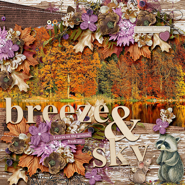 Breeze + Sky