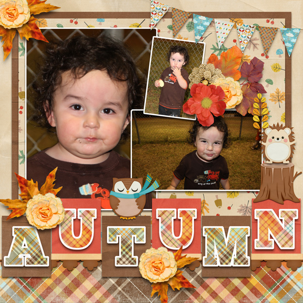 Breezy Autumn
