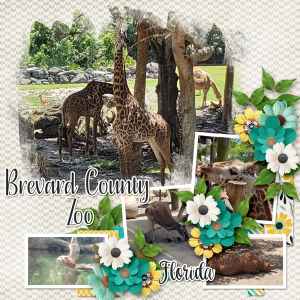 Brevard County Zoo