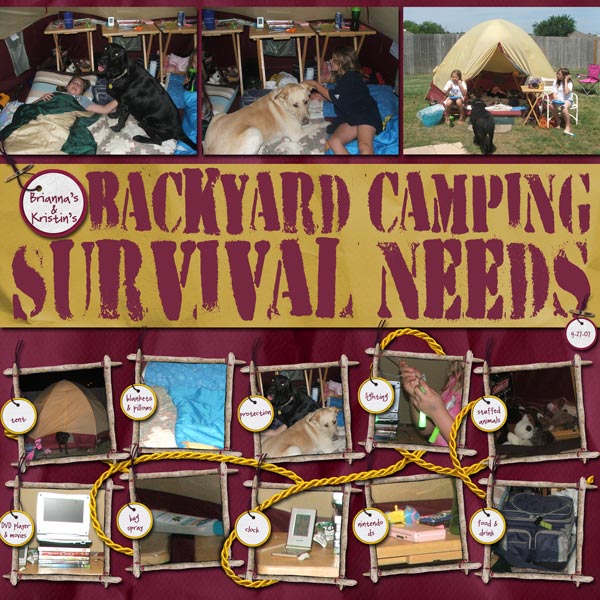 brianna's and kristin's backyard camping survival needs