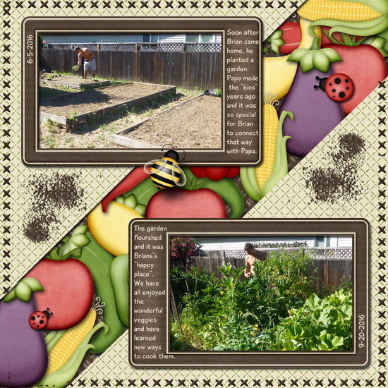 Brian's Garden