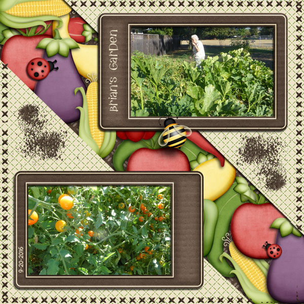 Brian's Garden
