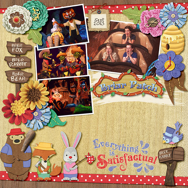Briar Patch - Splash Mountain