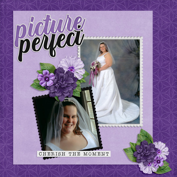 Bridal Pictures