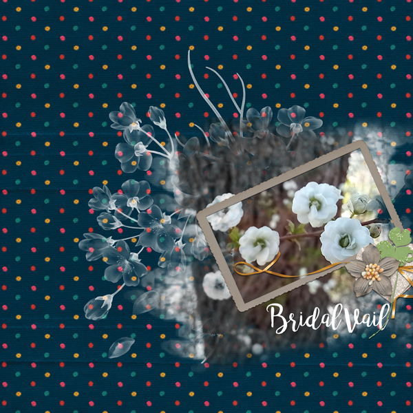 Bridal Vail