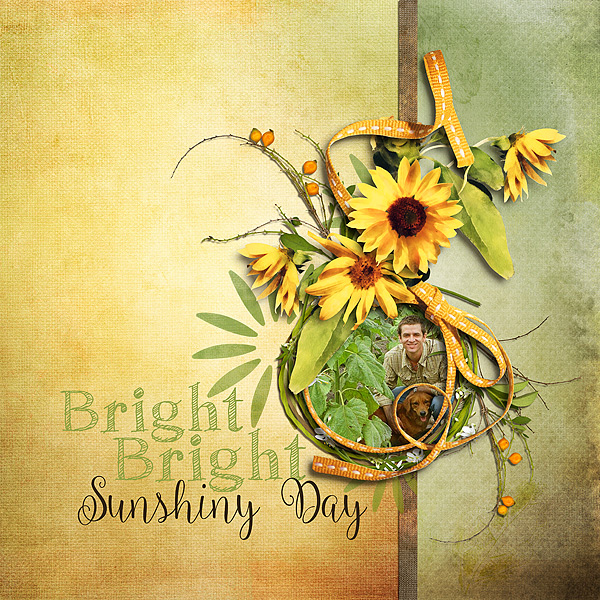 Bright Bright Sunshiny Day